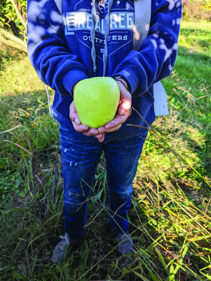 Sip'n Cider and Pick'n Apples